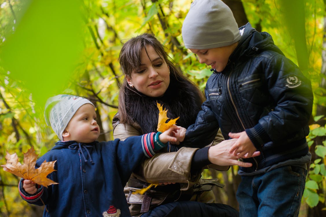 A mother and her two boys stand in bright green woods are admiring large fallen leaves.